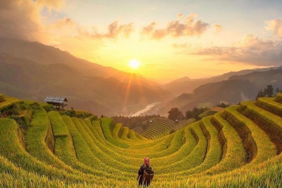 5 DAYS – HA NOI – SAPA – HA LONG Cần Thơ